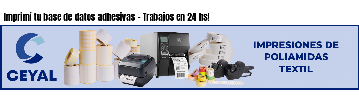 Imprimí tu base de datos adhesivas - Trabajos en 24 hs!