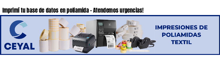 Imprimí tu base de datos en poliamida - Atendemos urgencias!