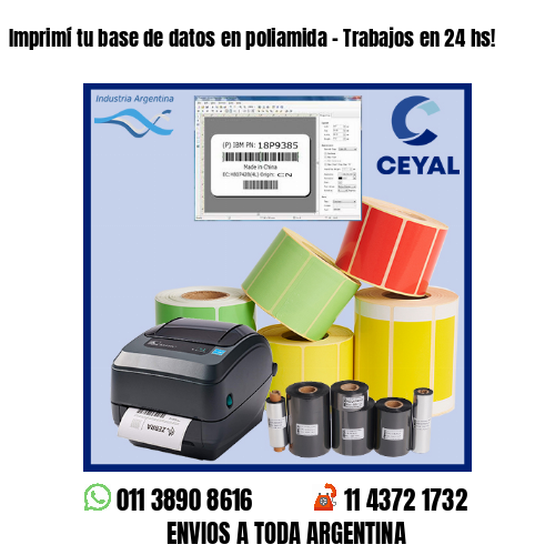 Imprimí tu base de datos en poliamida – Trabajos en 24 hs!