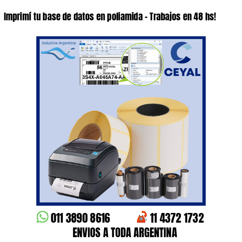 Imprimí tu base de datos en poliamida – Trabajos en 48 hs!