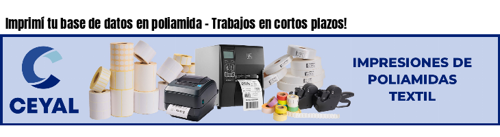 Imprimí tu base de datos en poliamida - Trabajos en cortos plazos!