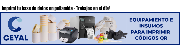 Imprimí tu base de datos en poliamida - Trabajos en el día!