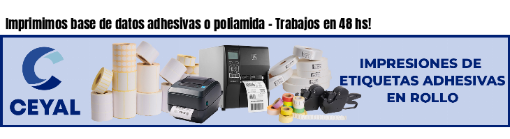 Imprimimos base de datos adhesivas o poliamida - Trabajos en 48 hs!