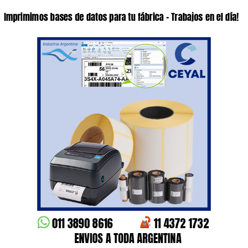Imprimimos bases de datos para tu fábrica – Trabajos en el día!