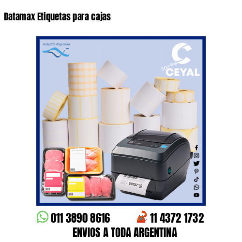 Datamax Etiquetas para cajas