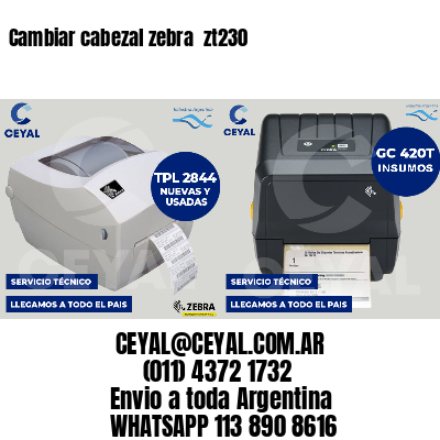 Cambiar cabezal zebra  zt230