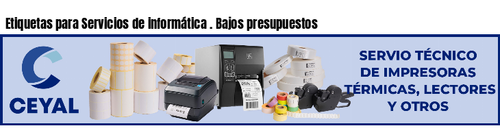 Etiquetas para Servicios de informática . Bajos presupuestos