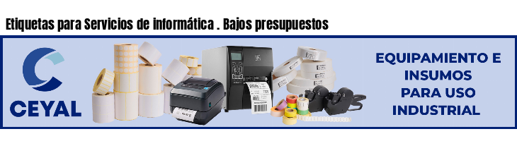 Etiquetas para Servicios de informática . Bajos presupuestos