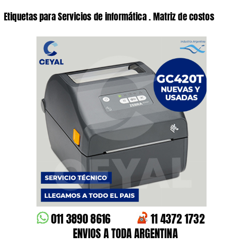 Etiquetas para Servicios de informática . Matriz de costos