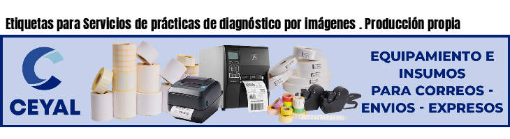 Etiquetas para Servicios de prácticas de diagnóstico por imágenes . Producción propia