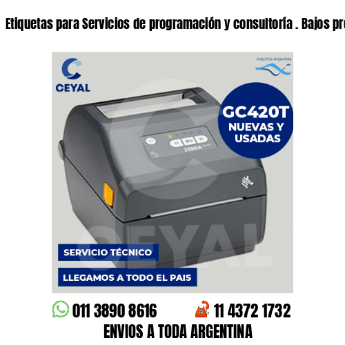 Etiquetas para Servicios de programación y consultoría . Bajos presupuestos