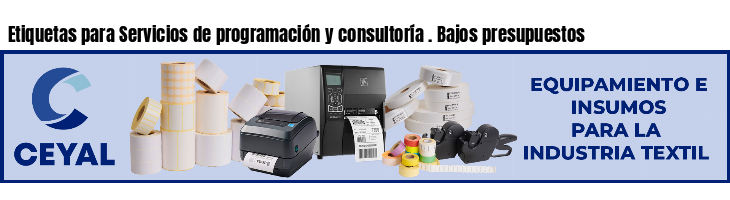 Etiquetas para Servicios de programación y consultoría . Bajos presupuestos