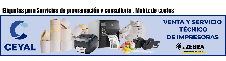 Etiquetas para Servicios de programación y consultoría . Matriz de costos