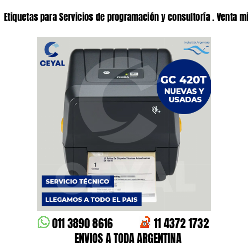 Etiquetas para Servicios de programación y consultoría . Venta minorista
