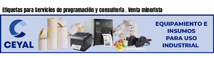 Etiquetas para Servicios de programación y consultoría . Venta minorista