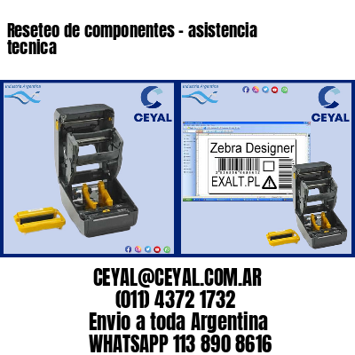 Reseteo de componentes – asistencia tecnica