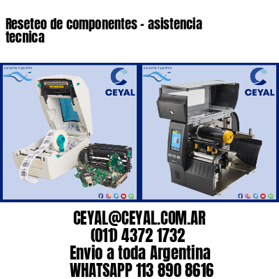 Reseteo de componentes – asistencia tecnica