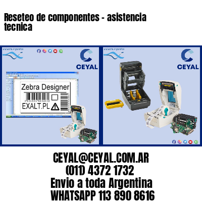 Reseteo de componentes – asistencia tecnica