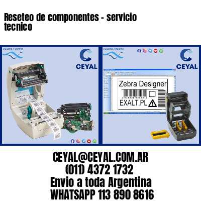 Reseteo de componentes – servicio tecnico