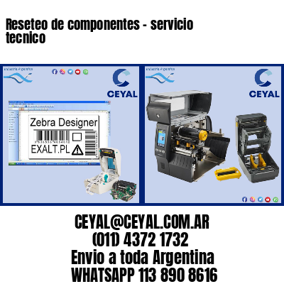Reseteo de componentes – servicio tecnico