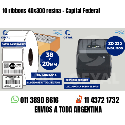 10 ribbons 40x300 resina - Capital Federal