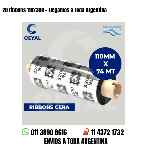 20 ribbons 110×300 – Llegamos a toda Argentina