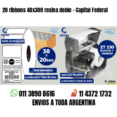 20 ribbons 40x300 resina doble - Capital Federal