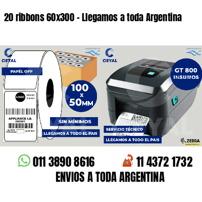 20 ribbons 60x300 - Llegamos a toda Argentina
