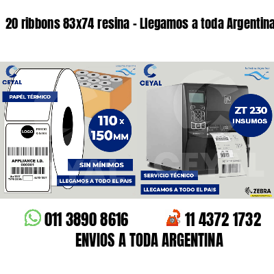 20 ribbons 83x74 resina - Llegamos a toda Argentina
