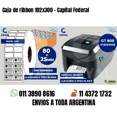 Caja de ribbon 102x300 - Capital Federal