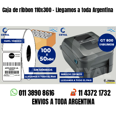 Caja de ribbon 110x300 - Llegamos a toda Argentina