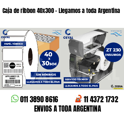 Caja de ribbon 40x300 - Llegamos a toda Argentina