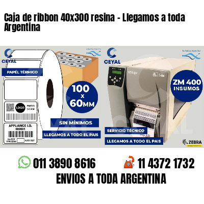 Caja de ribbon 40x300 resina - Llegamos a toda Argentina