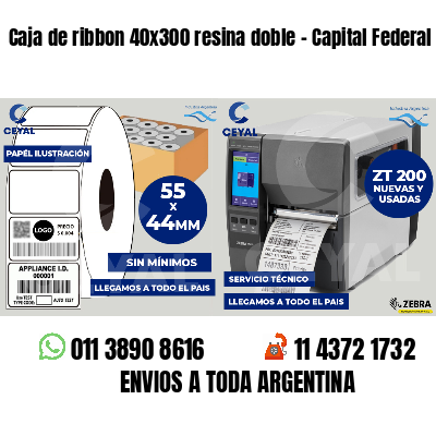 Caja de ribbon 40x300 resina doble - Capital Federal