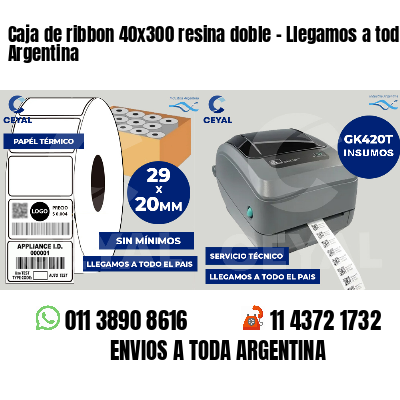 Caja de ribbon 40x300 resina doble - Llegamos a toda Argentina