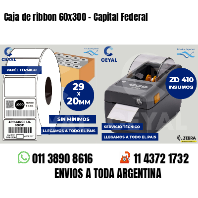 Caja de ribbon 60x300 - Capital Federal