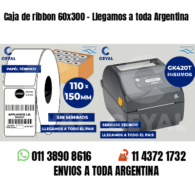 Caja de ribbon 60x300 - Llegamos a toda Argentina