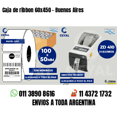 Caja de ribbon 60x450 - Buenos Aires