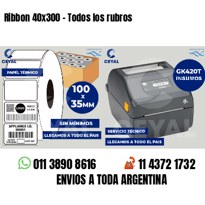 Ribbon 40x300 - Todos los rubros