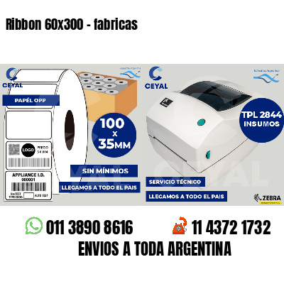 Ribbon 60x300 - fabricas