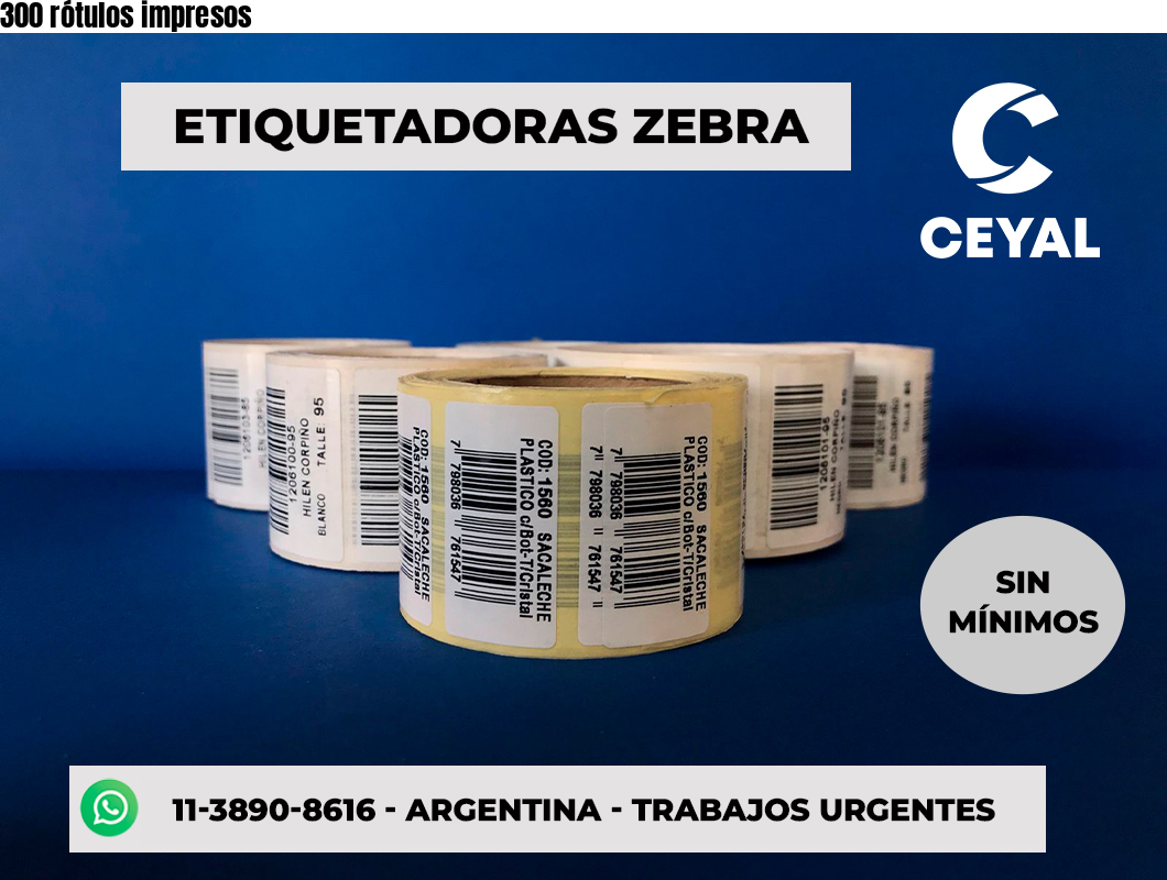 300 rótulos impresos