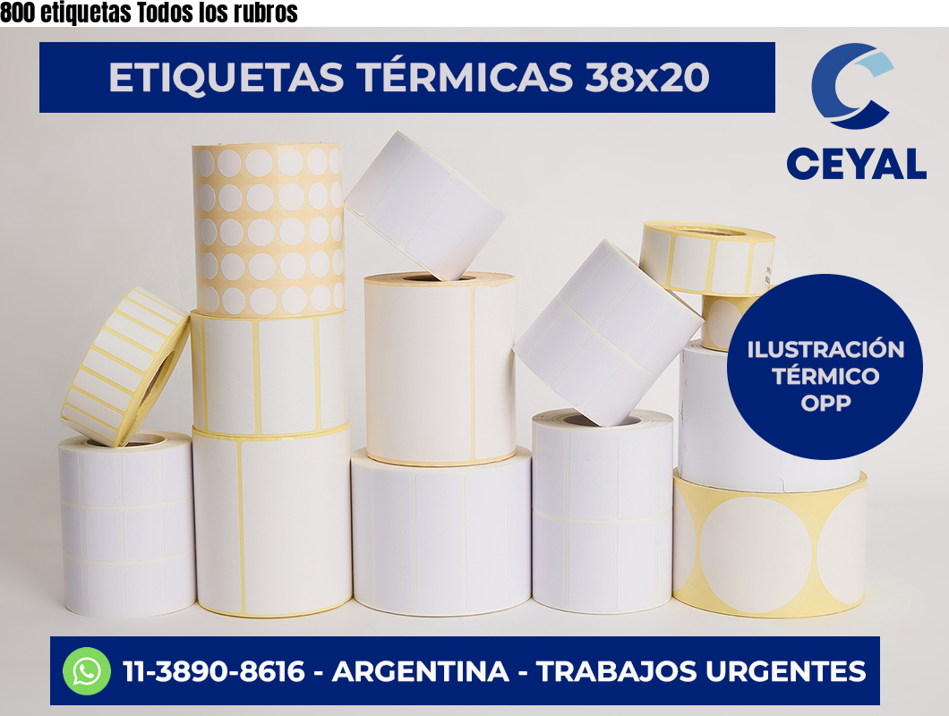 800 etiquetas Todos los rubros