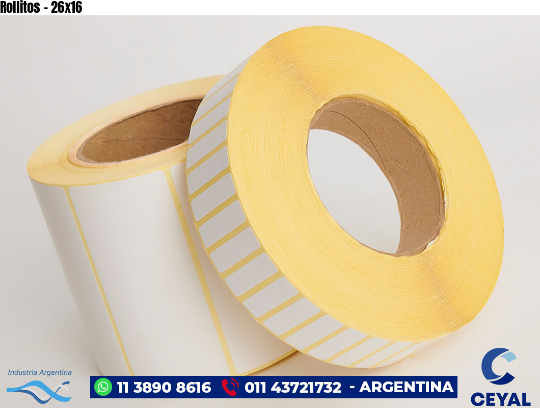 Rollitos - 26x16
