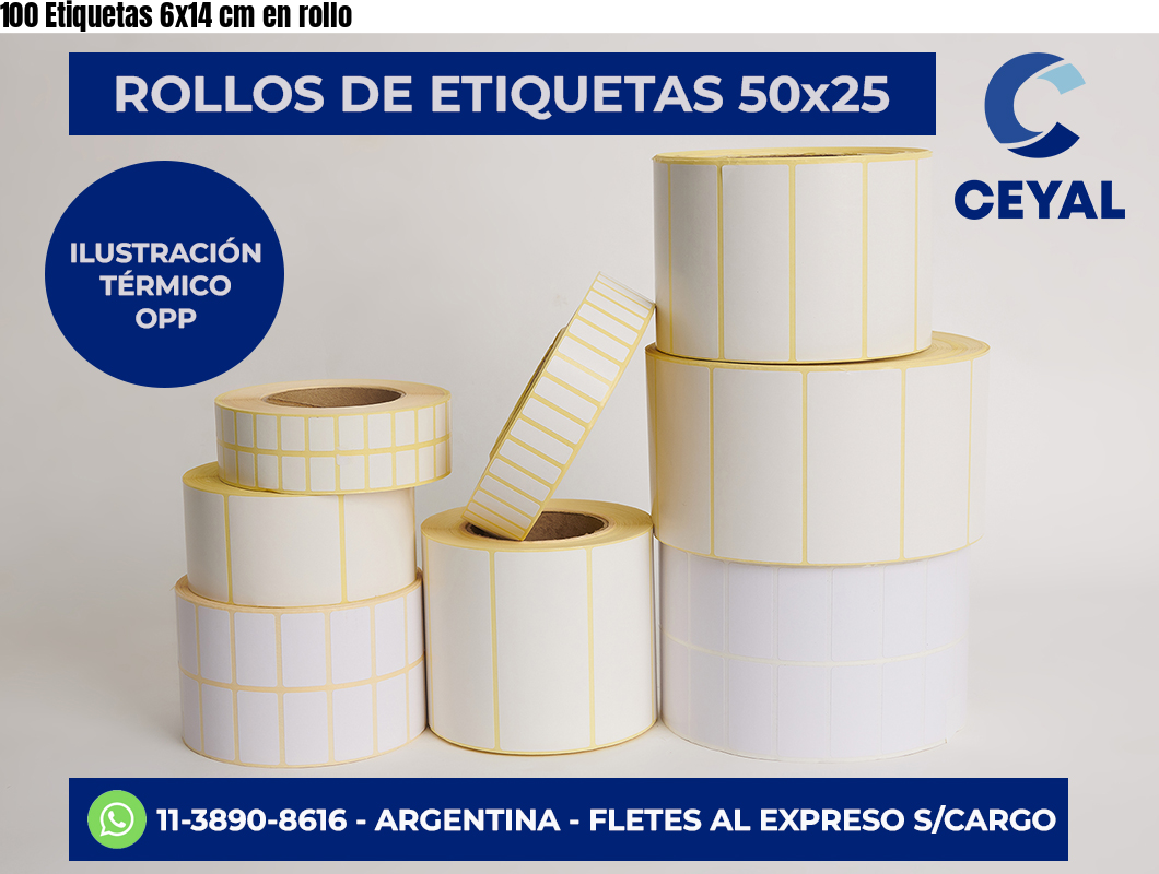 100 Etiquetas 6×14 cm en rollo