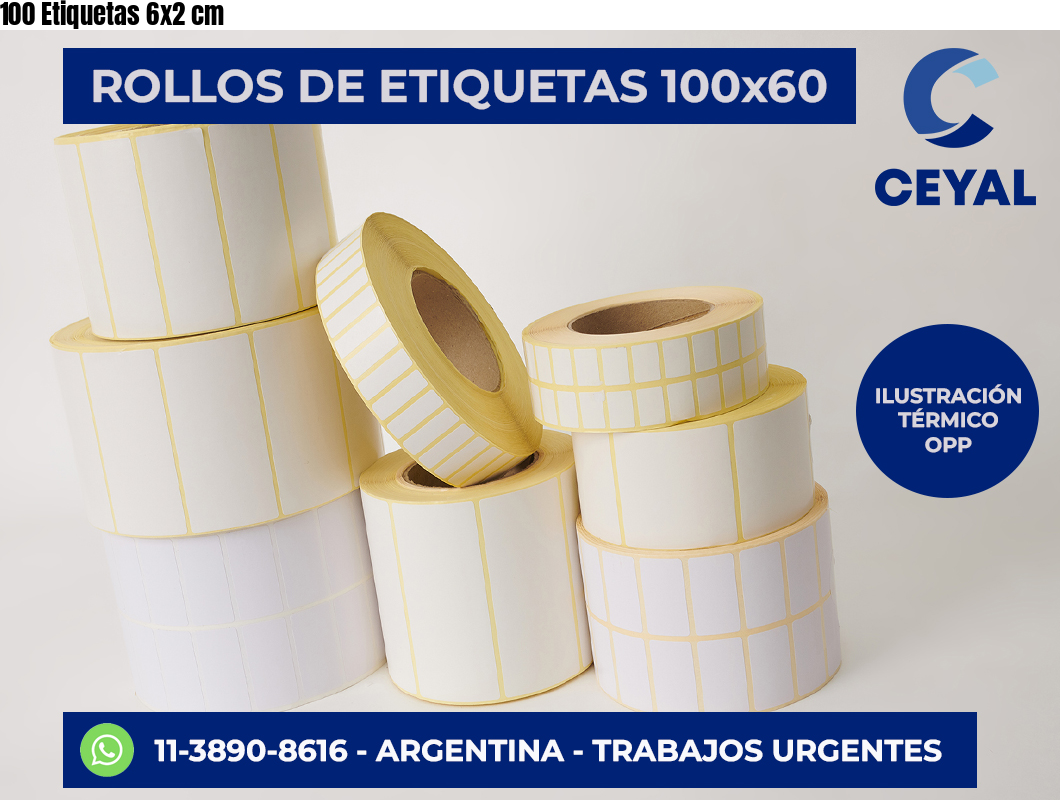 100 Etiquetas 6×2 cm