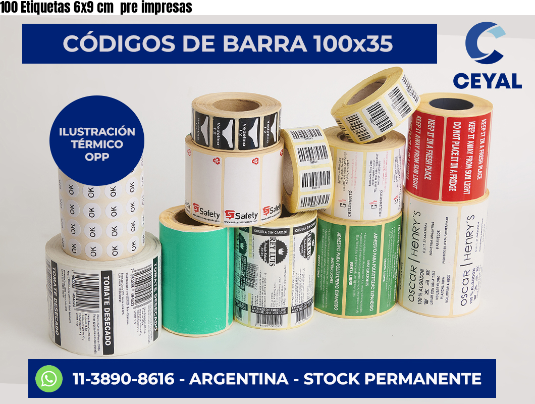 100 Etiquetas 6×9 cm  pre impresas