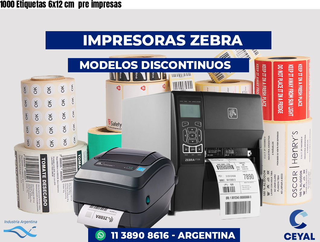 1000 Etiquetas 6x12 cm pre impresas