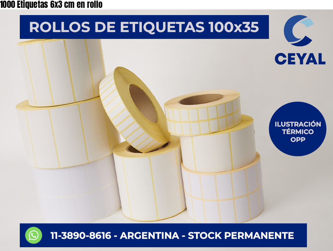 1000 Etiquetas 6×3 cm en rollo