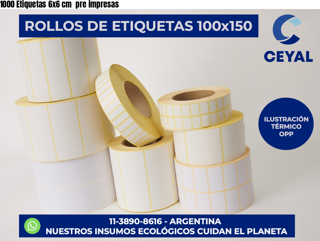 1000 Etiquetas 6×6 cm  pre impresas