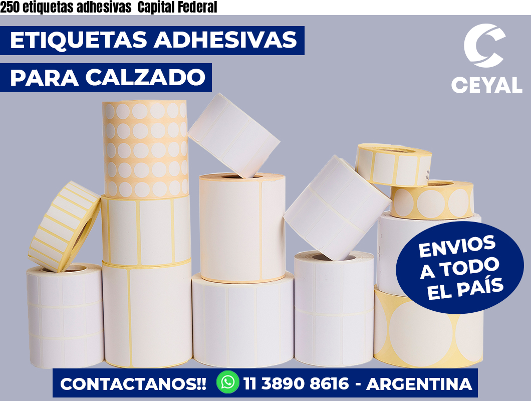 250 etiquetas adhesivas  Capital Federal